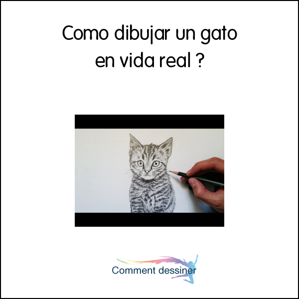 Como dibujar un gato en vida real